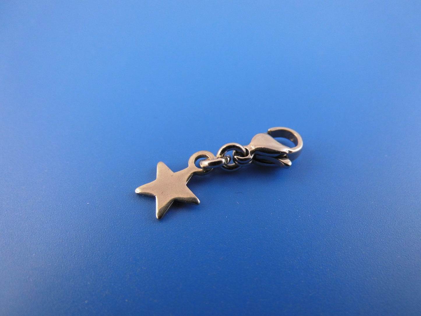 Edelstahl Anhänger Charm verschiedene Motive