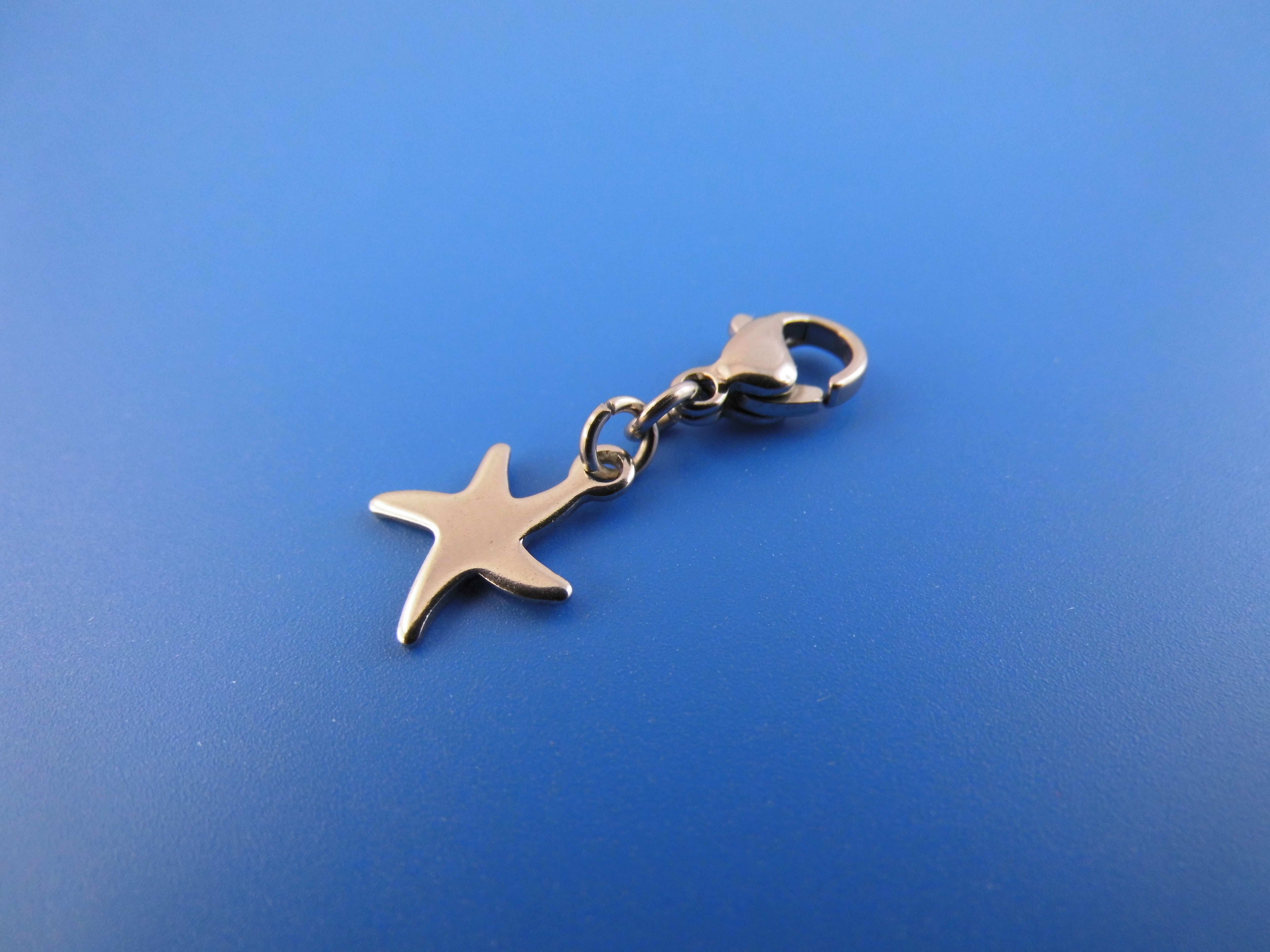 Edelstahl Anhänger Charm verschiedene Motive