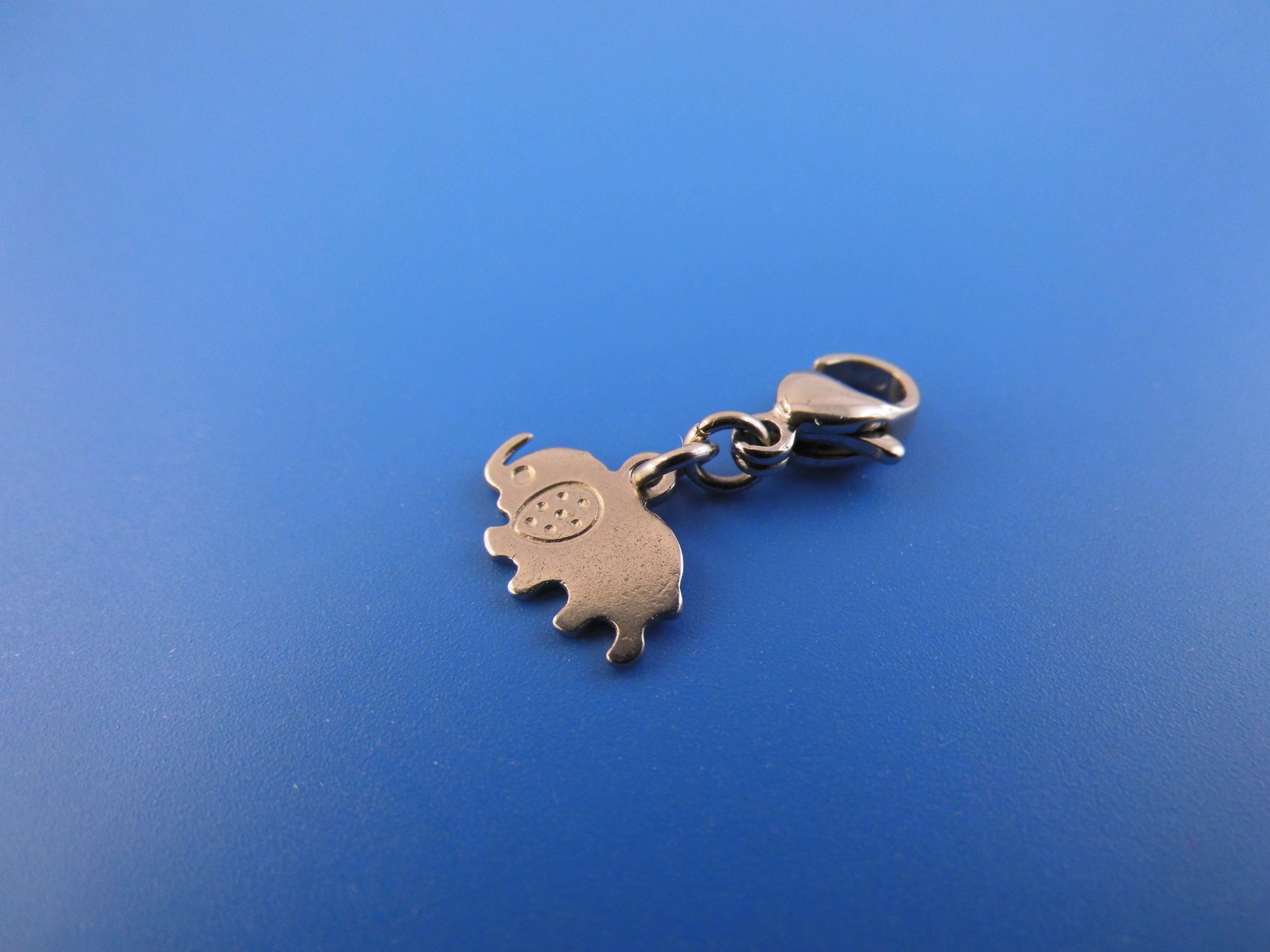 Edelstahl Anhänger Charm verschiedene Motive