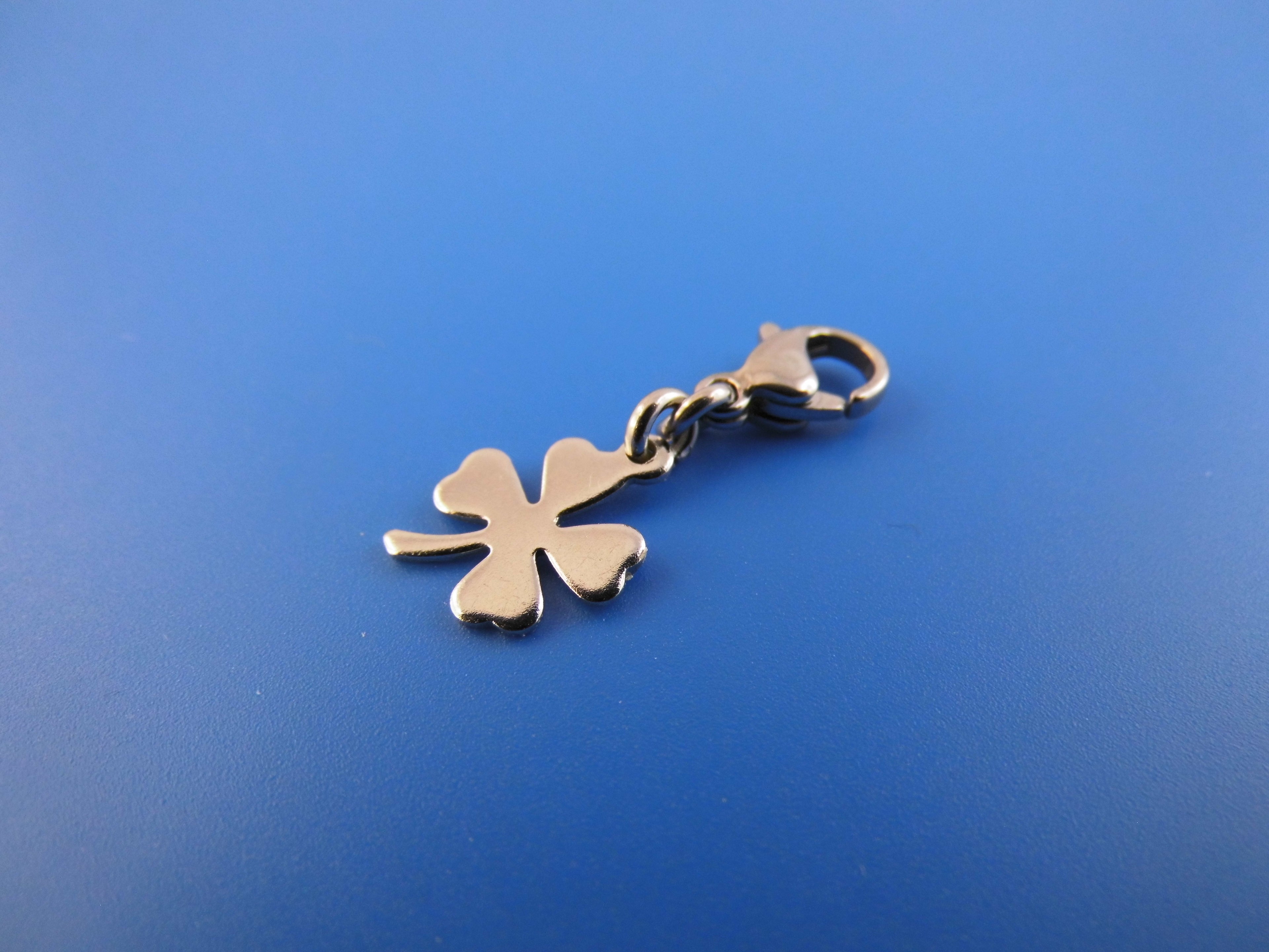 Edelstahl Anhänger Charm verschiedene Motive