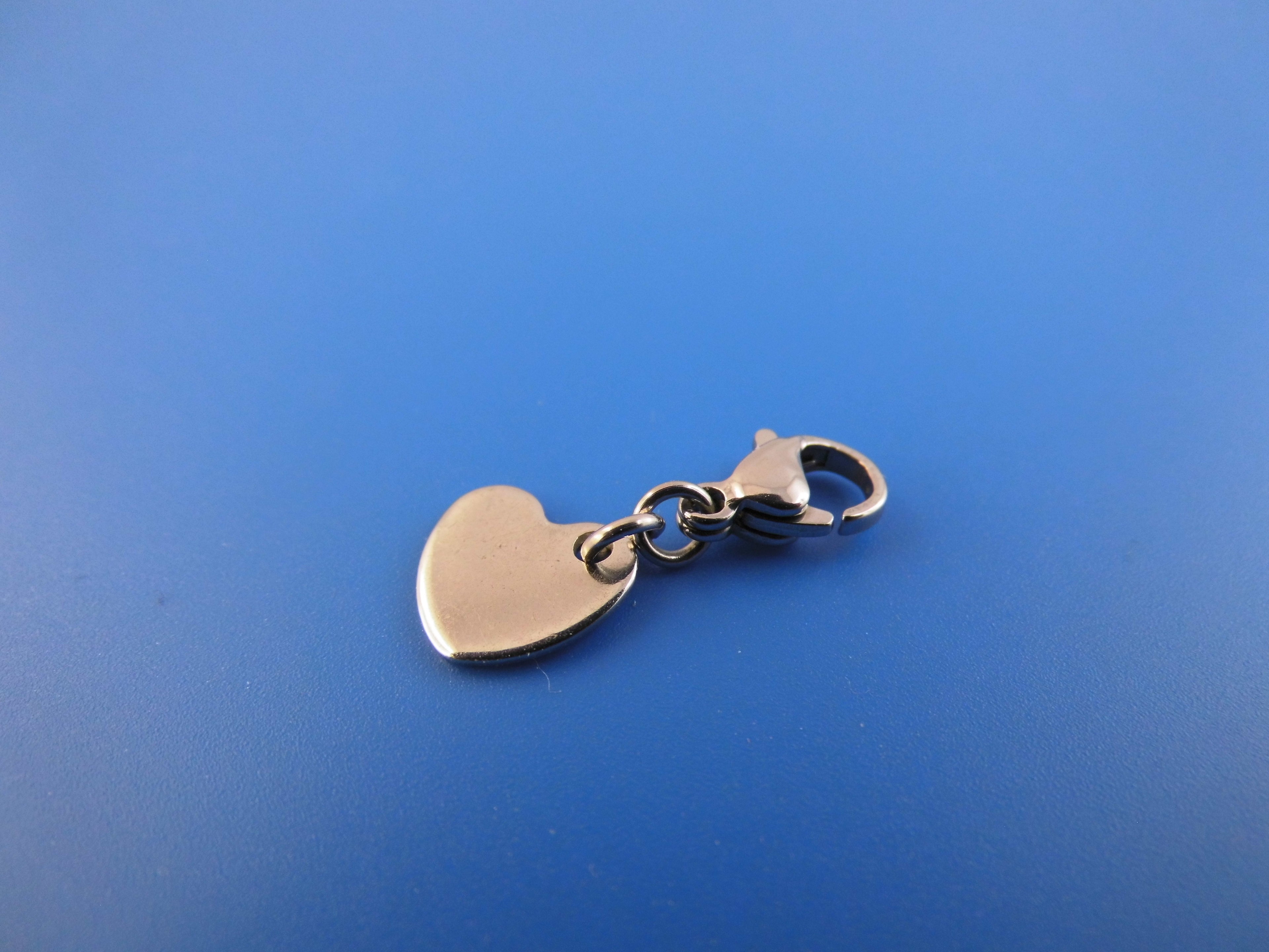 Edelstahl Anhänger Charm verschiedene Motive