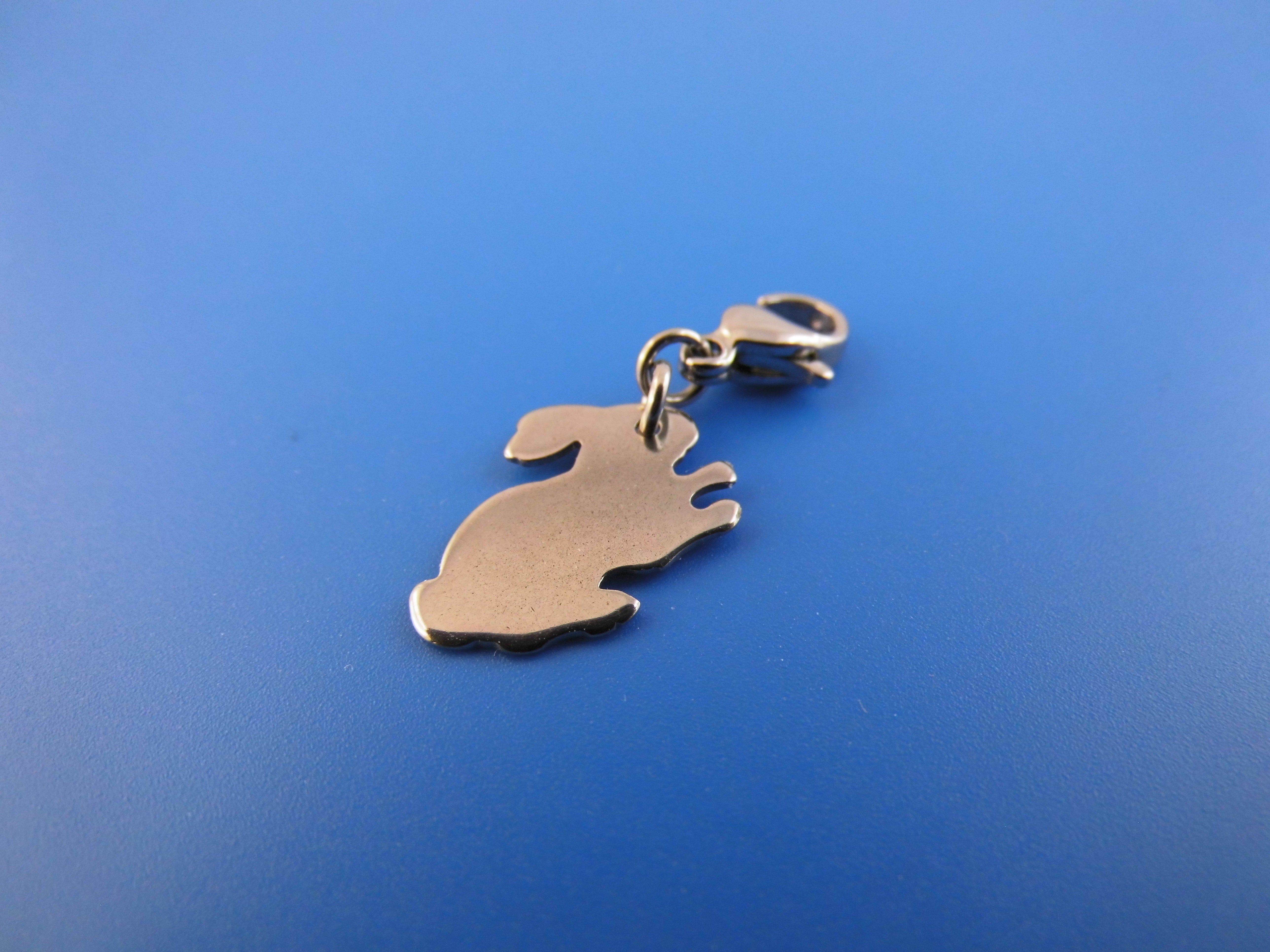 Edelstahl Anhänger Charm verschiedene Motive